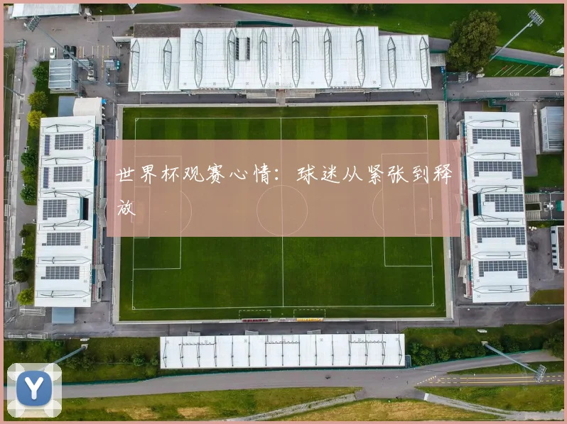 世界杯观赛心情：球迷从紧张到释放