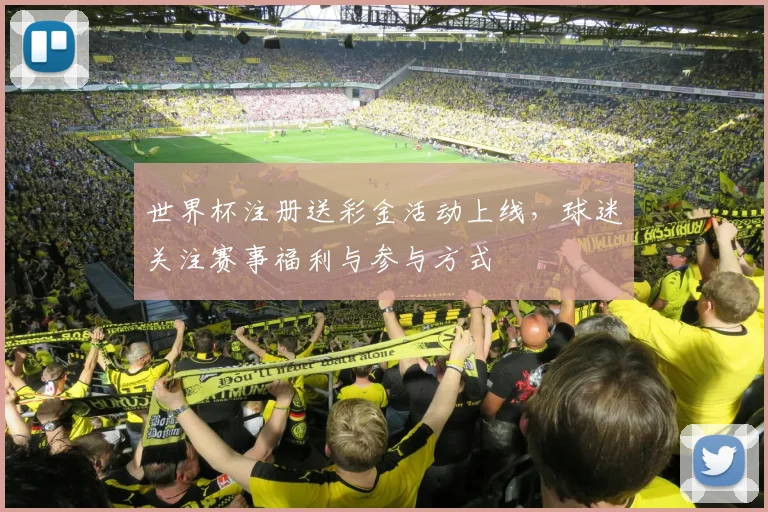 世界杯注册送彩金活动上线，球迷关注赛事福利与参与方式
