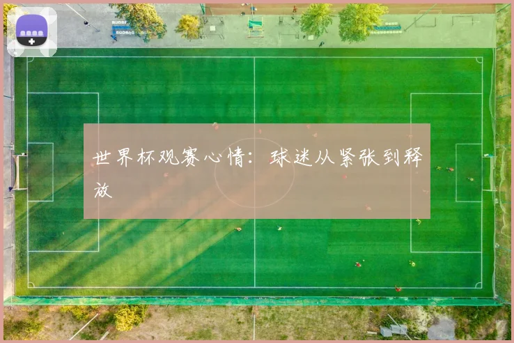 世界杯观赛心情：球迷从紧张到释放
