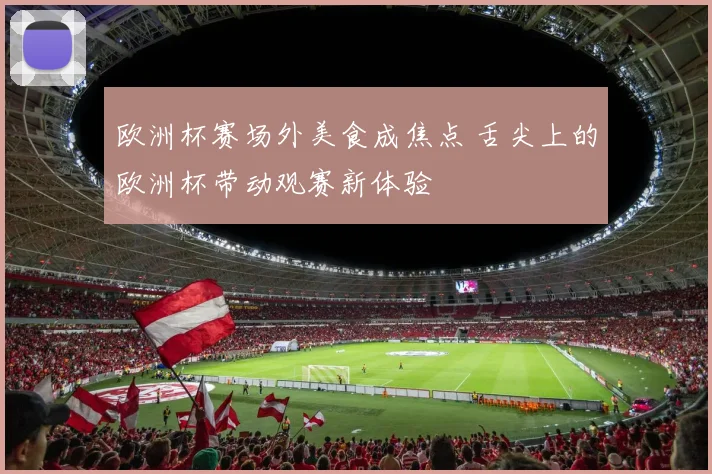 欧洲杯赛场外美食成焦点 舌尖上的欧洲杯带动观赛新体验