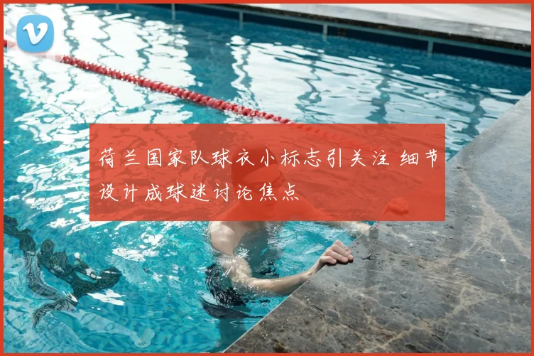 荷兰国家队球衣小标志引关注 细节设计成球迷讨论焦点